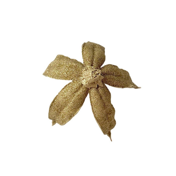 Dried Gold flowers | homegrown and handmade preserved Hibiscus seed pods - Picture 6 of 8